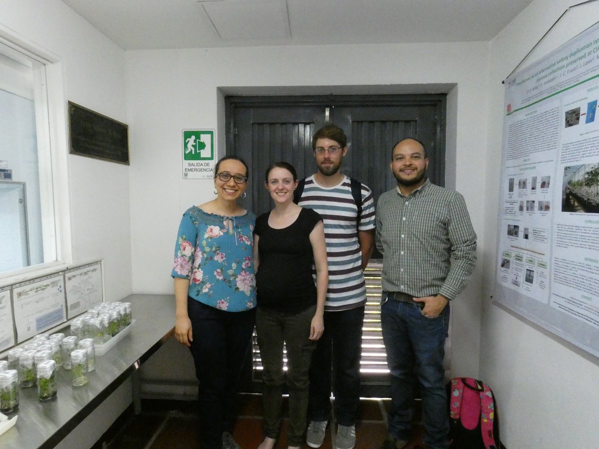 Sarah Dyer tweet media