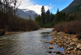 TheNelsonDaily's tweet photo. Nature Conservancy of Canada #NCC closes #Darkwoods Conservation Area due to #BlazedCreek #wildfire @TheNelsonDaily https://t.co/MtpqcSgsPQ #BCWildfires #CrestonBC #YmirBC https://t.co/IfxBmkW7PC