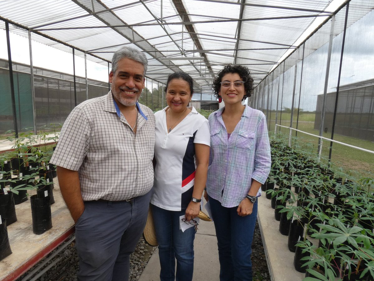 Sarah Dyer tweet media