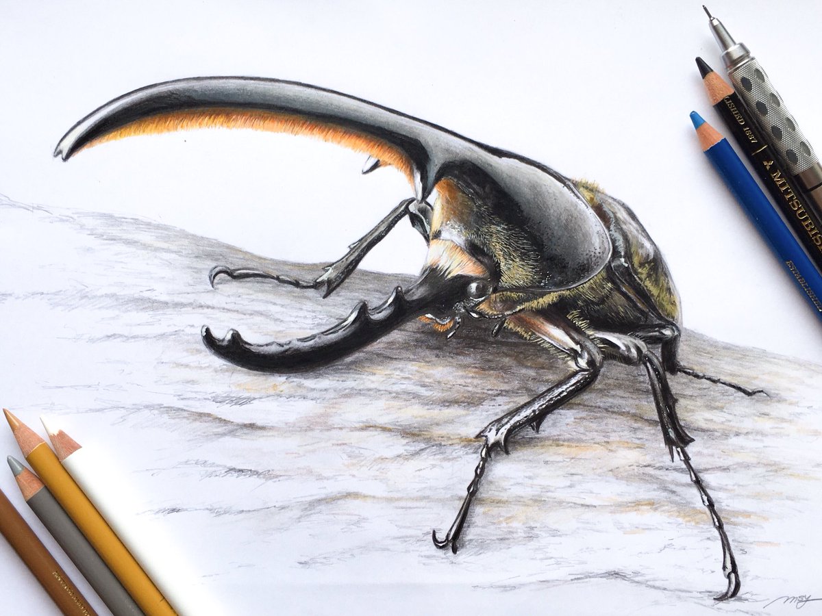 4作目、ヘラクレス描きました！