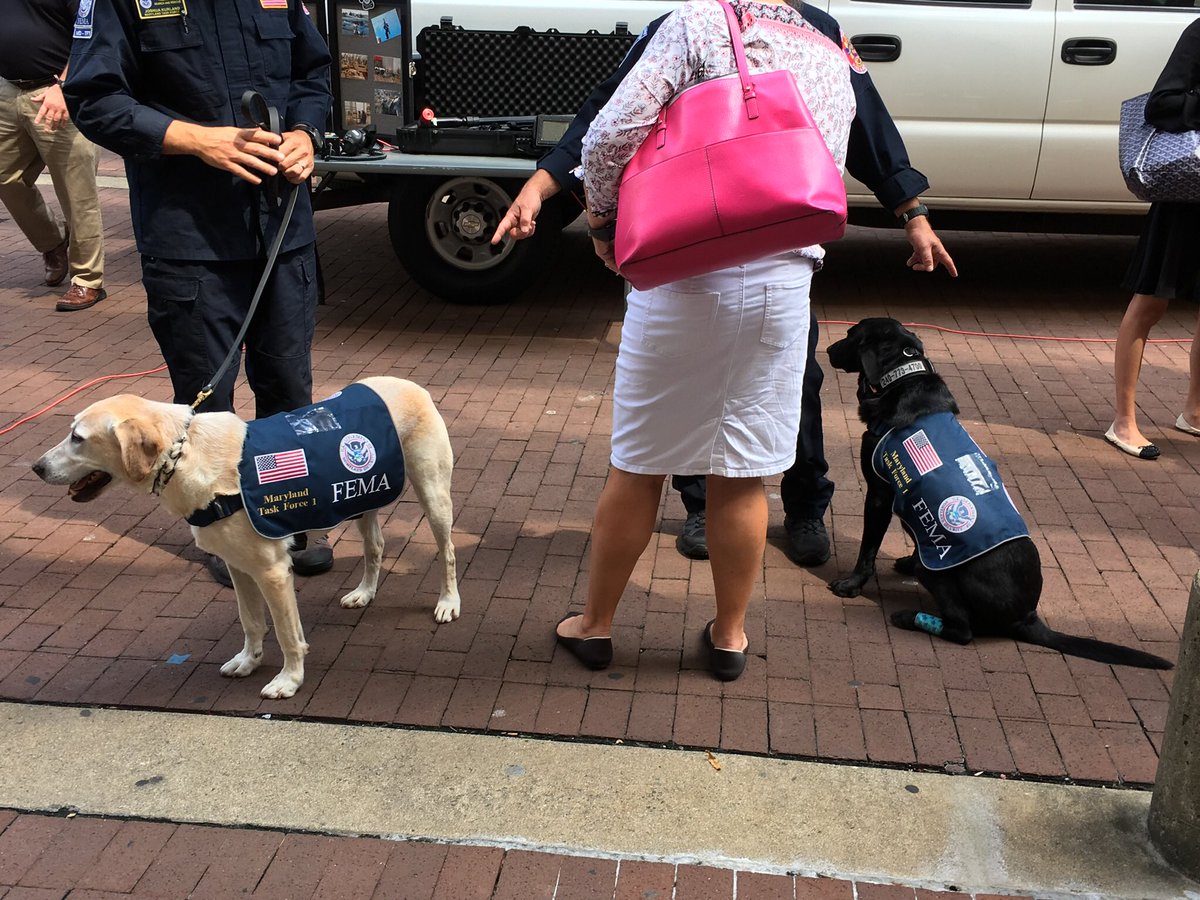 Great day <a href="/fema/">FEMA</a> today hearing from many leaders as part of the Executive Capstone course.  Also checked out the Incident Response Vehicle and survivor search dogs!
