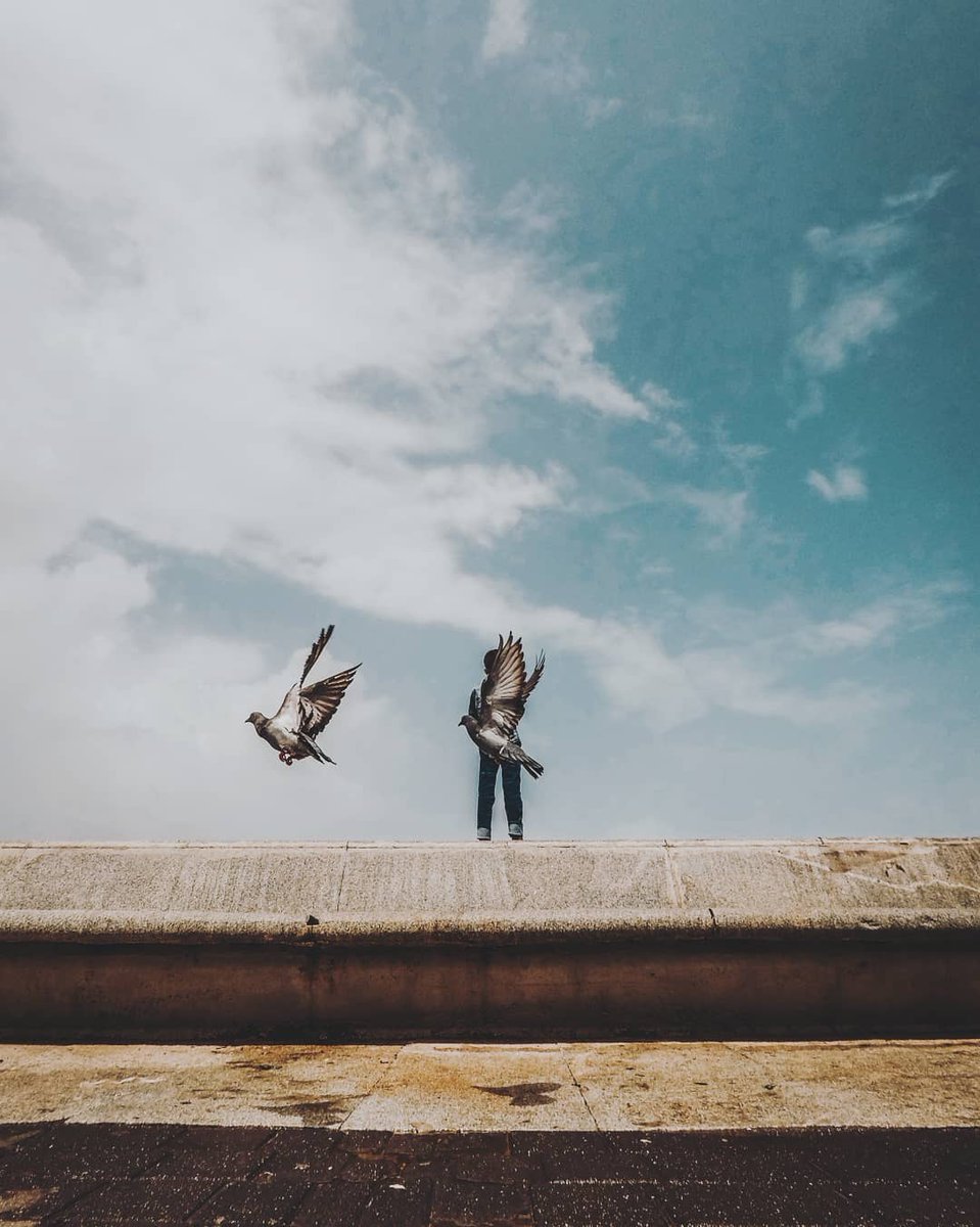 instagram's tweet photo. Excellent timing, bird. #WHPhidden 👏 https://t.co/iIDwAZbC4J https://t.co/YKNFCC1ajH