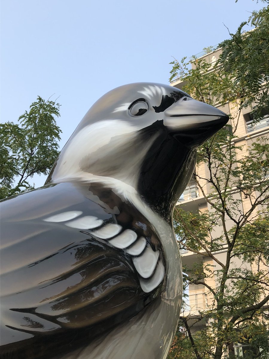 VancouverBeaver's tweet photo. The Birds are back!!!! https://t.co/WpR927zekb
