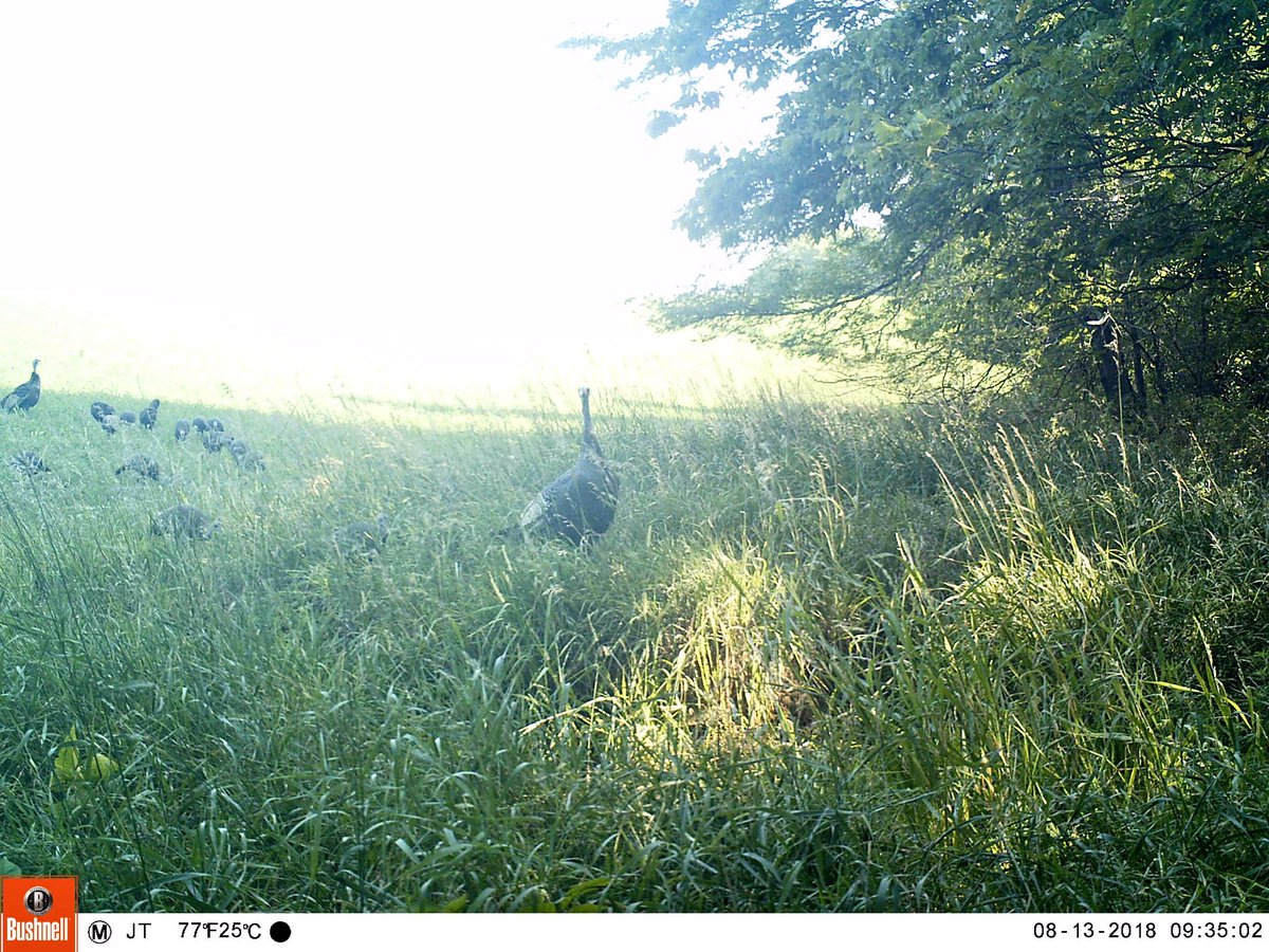 This is good to see! We needed a good hatch.