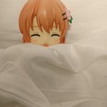 ツイートに含まれる画像