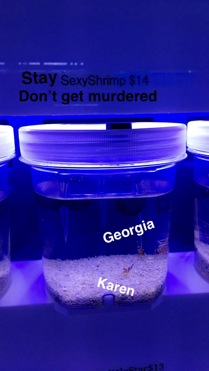 Alex_Arroyo92's tweet photo. NEED a pair of sexy shrimp! 🦐 🦐 @KarenKilgariff @MyFavMurder https://t.co/D8gGh1dKJv