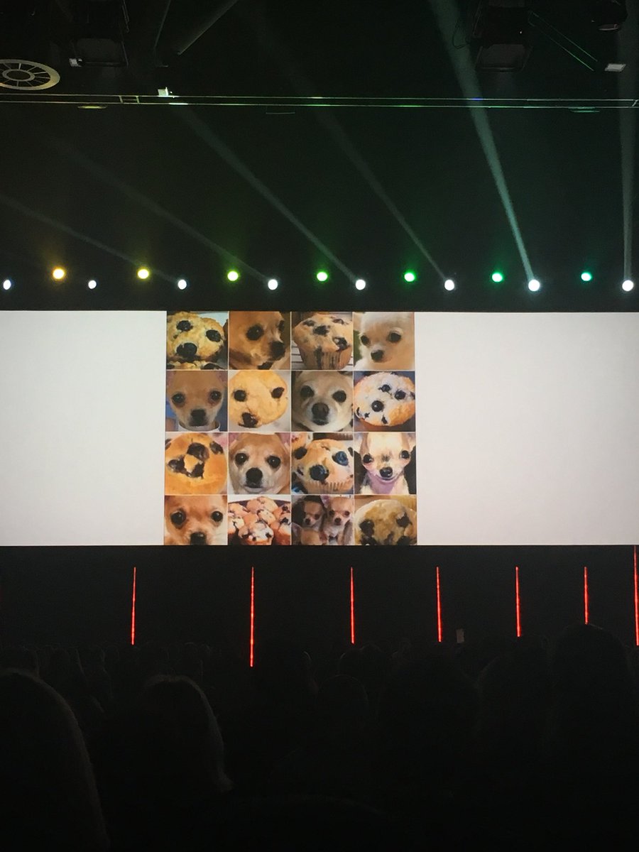 marcooda's tweet photo. AI gets really good at complex rule based problems. Beats world chess champion. Introduce muffin or dog and it’s struggle town. #AdobeSymp https://t.co/38gYoqSrKD