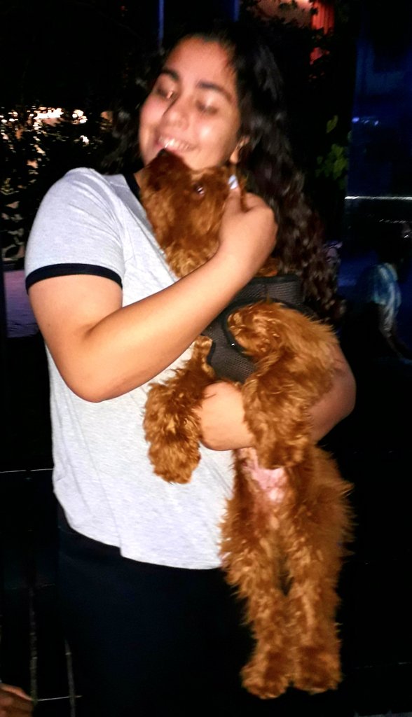 willoughby3bs's tweet photo. You call me your best friend, but where were you when my selfie only had four likes?😲#willoughby #willoughbythecockapoo #cockapoo #pets #dogsoftwitter #dog #dogs #dogstwittertoo #likeforfollow #followforlike #cockapoopuppy #cute
#googledog #googledogs #googlesearch https://t.co/tuRo3d1d97