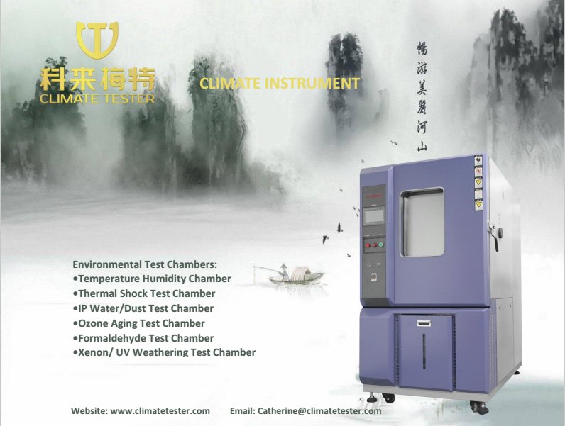 lisa Zhong tweet media