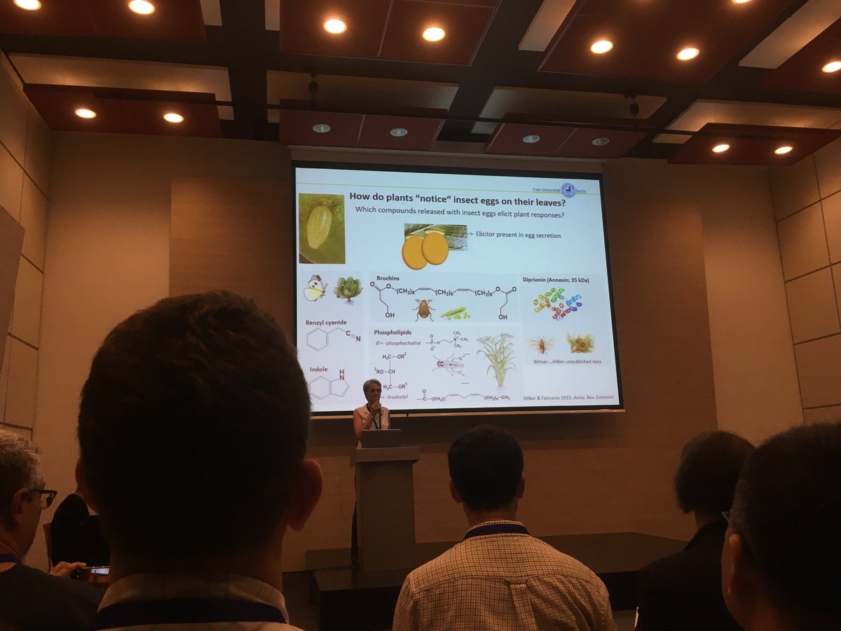 Toby_Bruce's tweet photo. Monika Hilker: plant responses to insect eggs #isce2018 https://t.co/H977Eqrkm4
