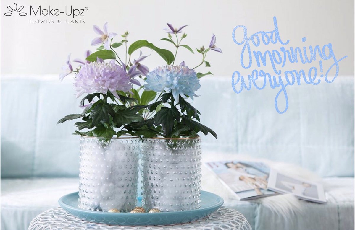 🌺Good Morning 🌺  
Plants will always love you back💕
Make-Upz Chrysanne. Nice #Kieks Picture #makeupz  #love #styling  #aqua #roze #woontrend2018 #goodmorning #planten #sfeer #gezelligheid <a href="/Lionplant/">Hans van Leeuwen</a> <a href="/FloraHolland/">Royal FloraHolland</a> <a href="/Decorumcompany/">Decorum Company</a>