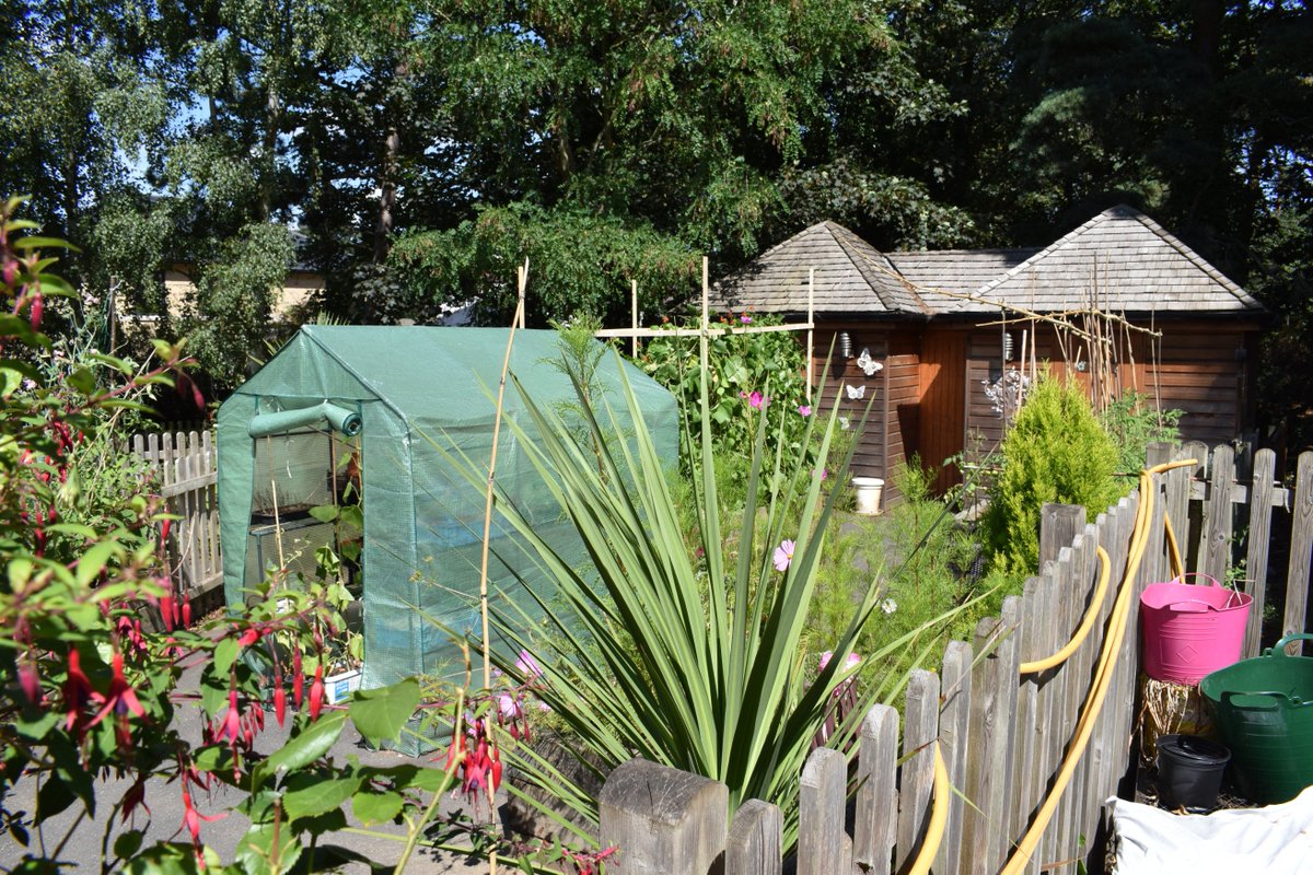 thrivecharity's tweet photo. Thank you to all the wonderful @HallmarkCare homes &amp; gardens that our Training Team had the opportunity to visit over the past two weeks as part of #hallmarkinbloom we can't wait to announce the winners #sth #proud #gardeningforall https://t.co/U04Ygph21e