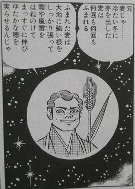 わかんないお友達は「はだしのゲン 麦になれ」でググってみよう!
うろ覚えだけど、なんか画像いっぱい出てくるからきっとお父さん麦に夢中で、ことあるごとに麦推ししてくるんだ!