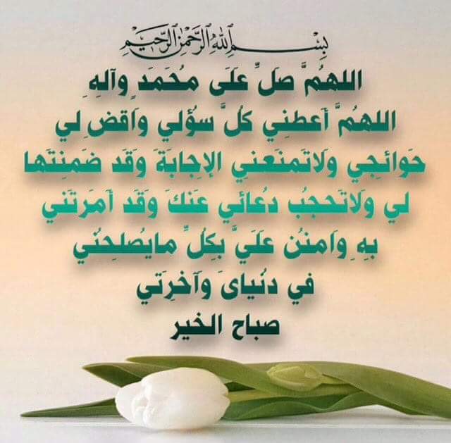 الوفي (@s6tk2xjiuwkn13d) on Twitter photo <a href="/HodJawad/">hodj</a> @Ty3Z3s8CQ4jq1Vi <a href="/doshmanealesood/">جنود عقيله.... ( هاشمی)</a> <a href="/ebtihajafar/">قطر الندى سمير</a> <a href="/bntelhuda/">bntelhuda</a> <a href="/fofo_ahmad22/">الحياة بسمه☺️</a> <a href="/rmh3744_/">REDA_HACHEM</a> @Fitni__salam <a href="/Hsnklil/">H. Hassan Khalil</a> <a href="/hassanha16/">حسن الشمري</a> <a href="/B_A_TT/">حمامة السلام🕊</a> <a href="/M9waXEmSGXUH4KM/">حسين المنصوري</a> <a href="/Zumuroda2/">Z💞u💞m💞u💞r💞o💞d💞a💞</a> <a href="/Yousma0f/">Al yousif - M</a> @Sh3ya_Loubnania <a href="/shosho777ss_/">⚘✿ زهرة التوليب ✿⚘</a> <a href="/9ailhasna/">الحسني</a> <a href="/bunusair/">Bunasser</a> <a href="/tcSkEUU8YDeD6Jl/">تهاني العربية</a> <a href="/omhousen213/">Ahmed ali Alhbsie</a> @alhsun774 @mememeiraqia <a href="/mashed2012/">husain alhassawi</a> <a href="/hod_jawad/">hod jawad</a> <a href="/hh__h21/">حيدر العراقي</a> <a href="/sammr3/">ᏕᎯᗰᎯᖇ</a> <a href="/salaamvvssoo1/">زين العابدين</a> @abo_swamir313 @Zainabiraqia <a href="/12_imams_s/">🏴بوناصر🇰🇼صلواتي🏴</a> <a href="/abou_hussein1/">أم حسين جنوبية الهوى2</a> <a href="/__slr/">`</a> <a href="/wu___m/">مـلّــآمــح مـاي...</a> <a href="/yhosien/">هُدى المتـقين</a> @K_adim313 <a href="/Da899664/">عاشوراء زماني ~❥</a> @a_wahjj @S_jj_D_S <a href="/313aabc1/">نسيم الورد</a> @Bnt_Karbala @designersaeed <a href="/SHKaram12/">Saleh Karam✈️✈️✈️</a> <a href="/w__es/">αℓ τнαнαвi🩵 </a> <a href="/y__12m/">✍️ عليۦے العرويۦے</a> <a href="/love24478/">قاسم الحداد</a> <a href="/G8eR2r4GKFmC9fG/">الانوار2</a> <a href="/h1_313/">قروب ياقائم آل محمد</a> <a href="/4Wb49g/">زهره امل</a> @noorali271 @acbvvdxd <a href="/HodJawad/">hodj</a> @Ty3Z3s8CQ4jq1Vi <a href="/doshmanealesood/">جنود عقيله.... ( هاشمی)</a> <a href="/ebtihajafar/">قطر الندى سمير</a> <a href="/bntelhuda/">bntelhuda</a> <a href="/fofo_ahmad22/">الحياة بسمه☺️</a> <a href="/rmh3744_/">REDA_HACHEM</a> @Fitni__salam <a href="/Hsnklil/">H. Hassan Khalil</a> <a href="/hassanha16/">حسن الشمري</a> <a href="/B_A_TT/">حمامة السلام🕊</a> <a href="/M9waXEmSGXUH4KM/">حسين المنصوري</a> <a href="/Zumuroda2/">Z💞u💞m💞u💞r💞o💞d💞a💞</a> <a href="/Yousma0f/">Al yousif - M</a> @Sh3ya_Loubnania <a href="/shosho777ss_/">⚘✿ زهرة التوليب ✿⚘</a> <a href="/9ailhasna/">الحسني</a> <a href="/bunusair/">Bunasser</a> <a href="/tcSkEUU8YDeD6Jl/">تهاني العربية</a> <a href="/omhousen213/">Ahmed ali Alhbsie</a> @alhsun774 @mememeiraqia <a href="/mashed2012/">husain alhassawi</a> <a href="/hod_jawad/">hod jawad</a> <a href="/hh__h21/">حيدر العراقي</a> <a href="/sammr3/">ᏕᎯᗰᎯᖇ</a> <a href="/salaamvvssoo1/">زين العابدين</a> @abo_swamir313 @Zainabiraqia <a href="/12_imams_s/">🏴بوناصر🇰🇼صلواتي🏴</a> <a href="/abou_hussein1/">أم حسين جنوبية الهوى2</a> <a href="/__slr/">`</a> <a href="/wu___m/">مـلّــآمــح مـاي...</a> <a href="/yhosien/">هُدى المتـقين</a> @K_adim313 <a href="/Da899664/">عاشوراء زماني ~❥</a> @a_wahjj @S_jj_D_S <a href="/313aabc1/">نسيم الورد</a> @Bnt_Karbala @designersaeed <a href="/SHKaram12/">Saleh Karam✈️✈️✈️</a> <a href="/w__es/">αℓ τнαнαвi🩵 </a> <a href="/y__12m/">✍️ عليۦے العرويۦے</a> <a href="/love24478/">قاسم الحداد</a> <a href="/G8eR2r4GKFmC9fG/">الانوار2</a> <a href="/h1_313/">قروب ياقائم آل محمد</a> <a href="/4Wb49g/">زهره امل</a> @noorali271 @acbvvdxd