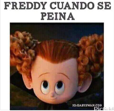 AlitzelHernan18's tweet photo. @freddyleyva 
😂❤️ https://t.co/HgbA7zILPa