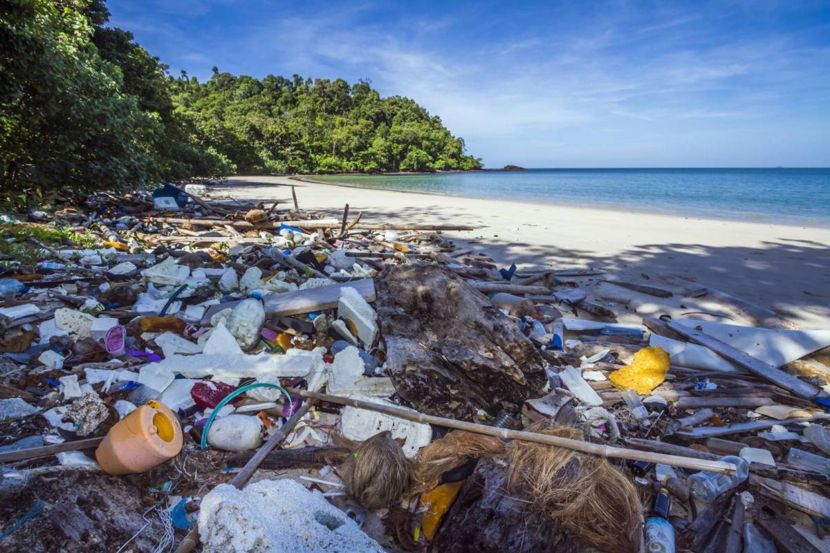 georgiastraight's tweet image. Discarded plastic in the Pacific Ocean covers an area three times the size of France. This company is now cleaning it up. ow.ly/De4I30lpo6b #oceans #tech #garbagepatch #PacificOcean