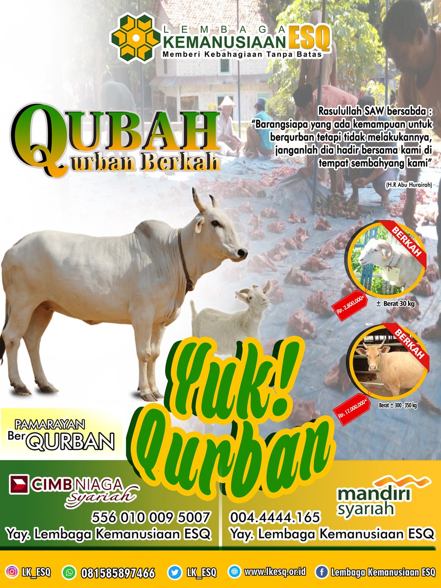 shofwan_hady's tweet image. Mumpung Gajian, Ayo Beli Hewan Qurban 🐄🐐

Idul Adha seminggu    lagi, yuk sisihkan uang gajian buat beli hewan qurban Tenang, harganya  gak bakal nguras uang gajian. Kamu bisa beli hewan qurban hanya dengan   harga Rp 2.8 jt
Qurban? 
Hubungi 087778486603 #Kompascom