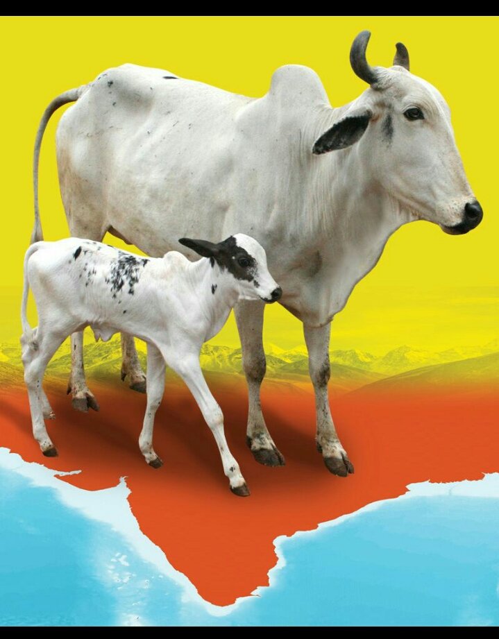 Goumatha - The Living God tweet media