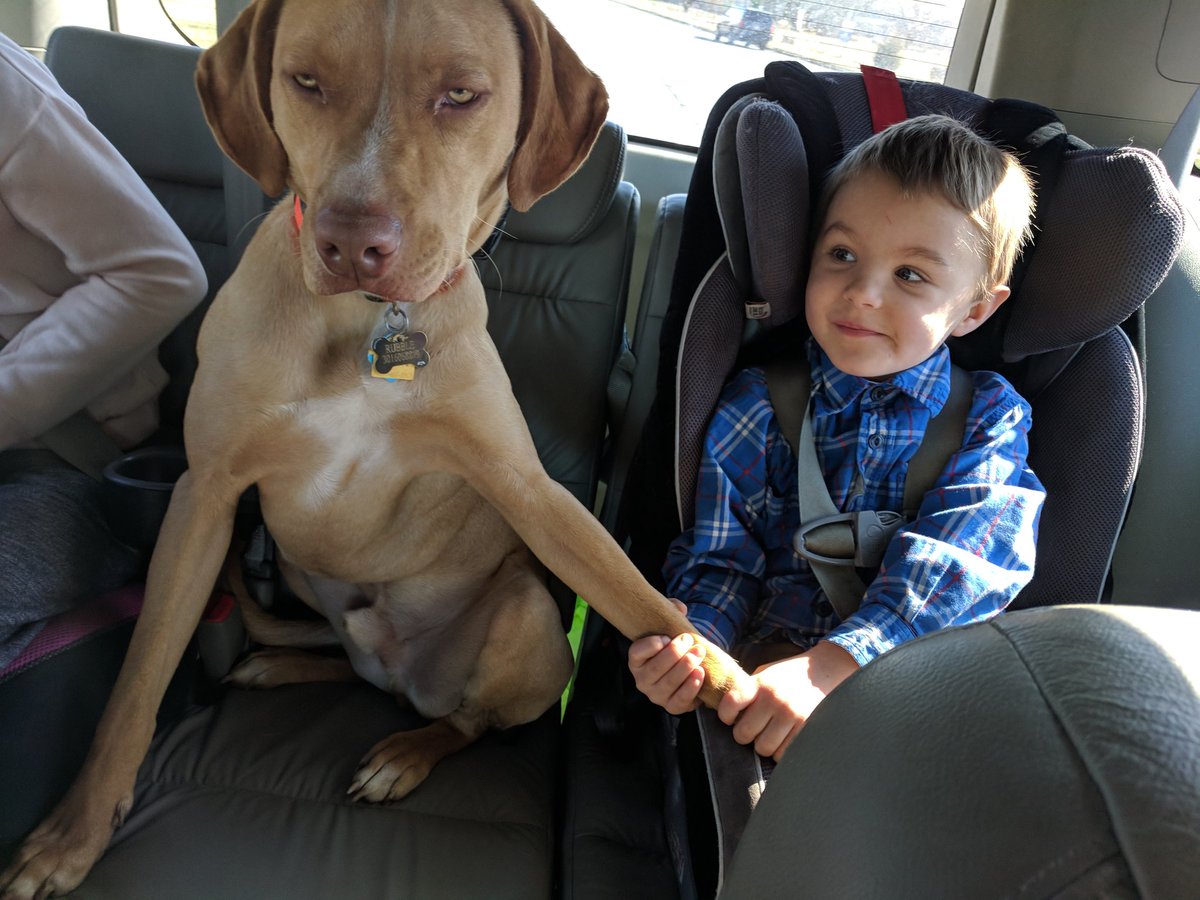 cdavidge2222's tweet photo. @The_UnSilent_ A boy and his dog. https://t.co/i2OGVjFpsv
