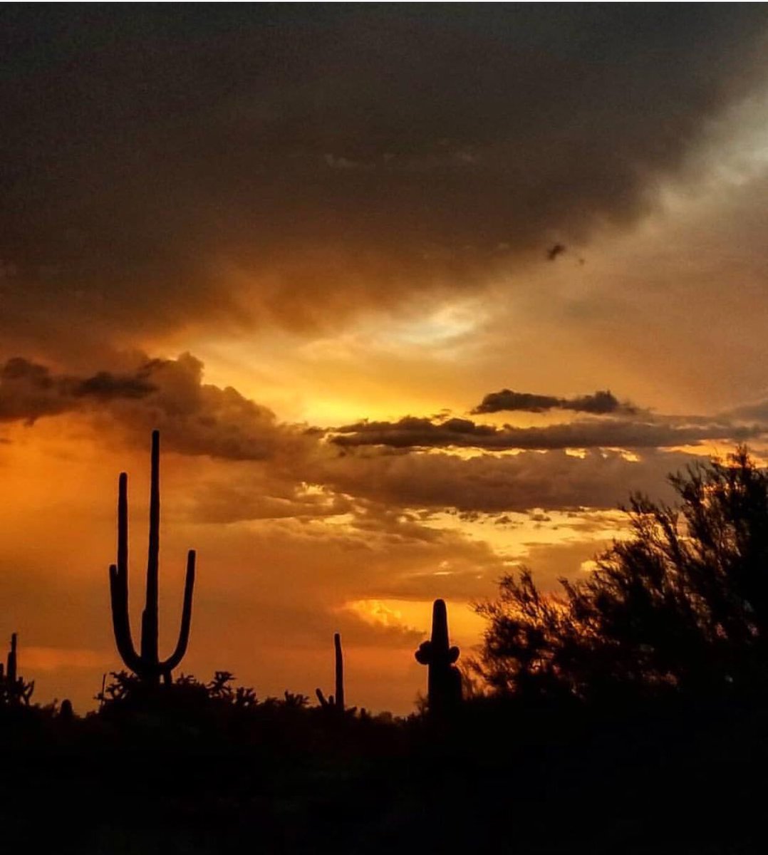 EdPierce25's tweet photo. #Arizona...home of epic sunsets! #Monsoon season delivers once more. #sunset #desert  #desertbeauty
#realestate #realtor #homeforsale #tempe #phoenix #az #homesforsale #phoenixrealestate #househunting #relocation #arizonarealestate #chandler #scottsdale #ahwatukee https://t.co/WncJekWsEe