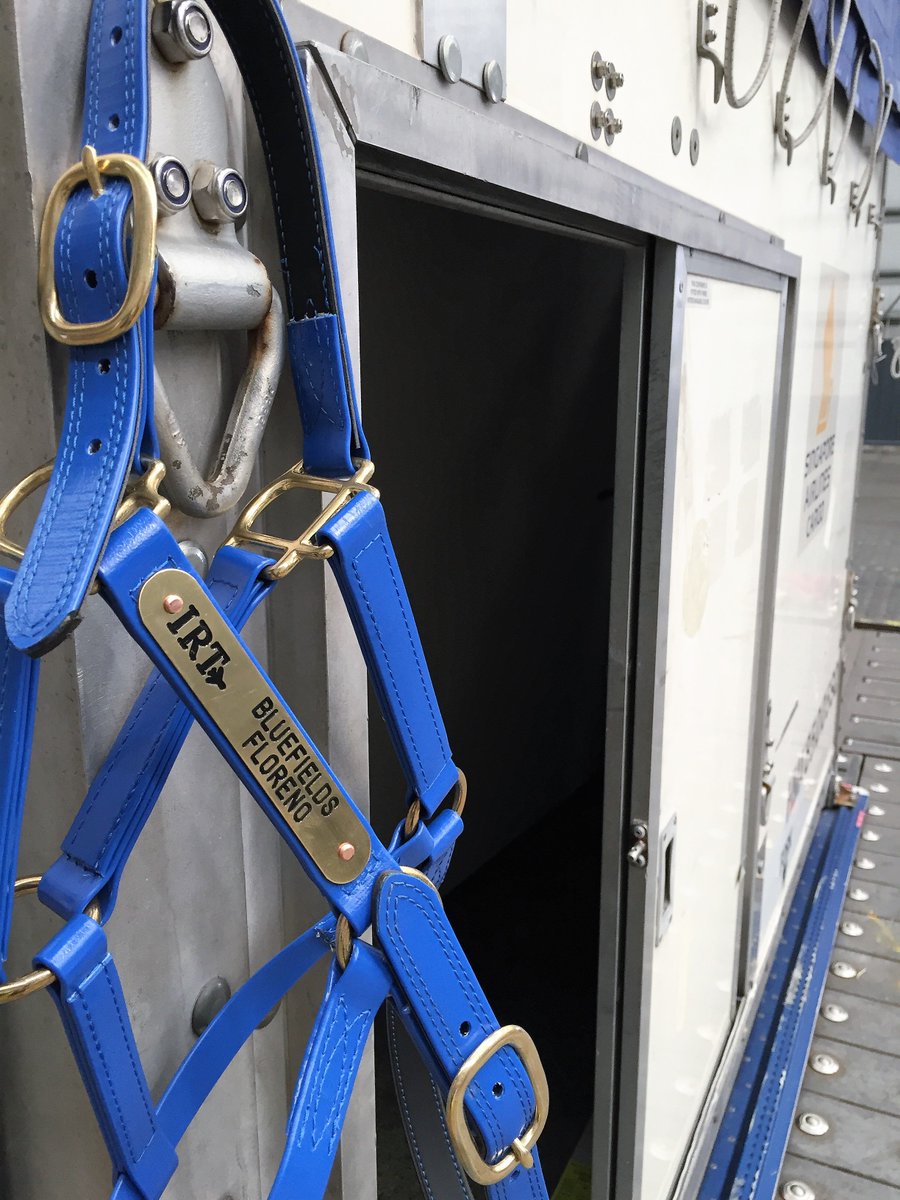 FlyIRT's tweet photo. Ready and waiting for Alexis Hellyer and Bluefields Floreno to start the journey to @tryon2018 #waytoweg #FlyIRT โ๏ธ https://t.co/JnnzWbTqmc