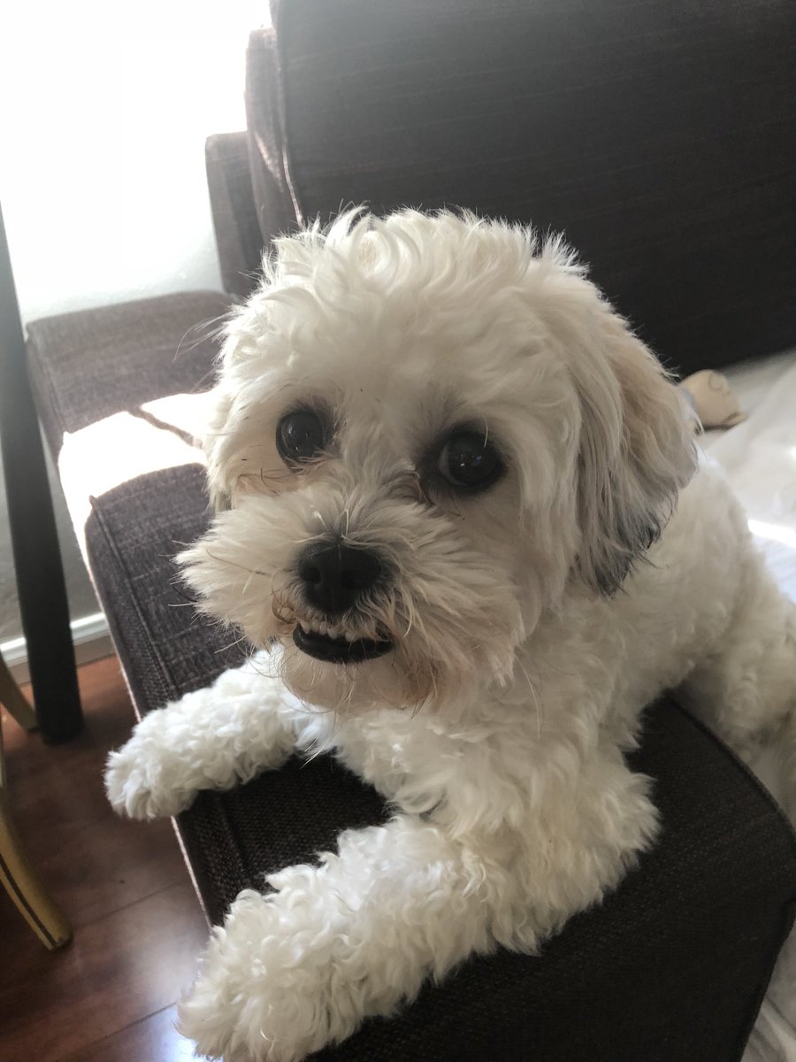 roy66's tweet image. hi...