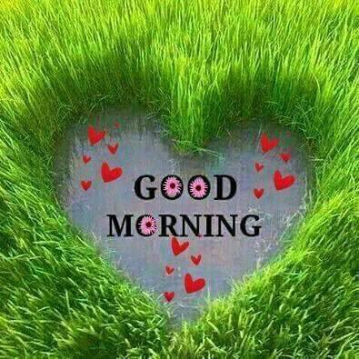 Elmalka_Emoo's tweet photo. صباح الورد����🌹 https://t.co/LU0asWZv7L