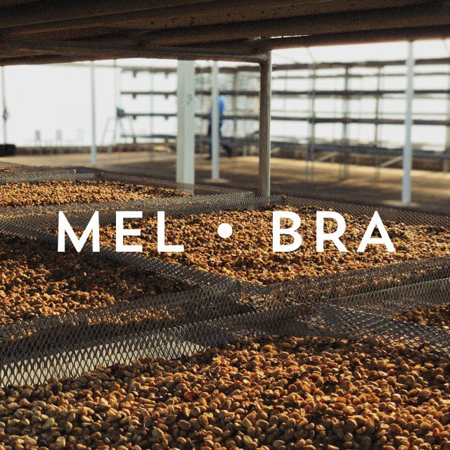 Mel and Toshi have landed in Brazil and have been catching up with our friends at Progresso Mill. Keep an eye on our instagram stories over the coming week to see the latest from their origin trip.