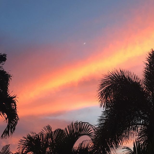 AMauiBlog's tweet photo. Majestic. Colorful. No Filter. Maui Sunset Sky. See the Moon? More on my IG Story and IG TV #mauisunset #mauisunsetmagic #sunsetafterglow https://t.co/aPUWi8f0J7 https://t.co/dVD8xxPYNM