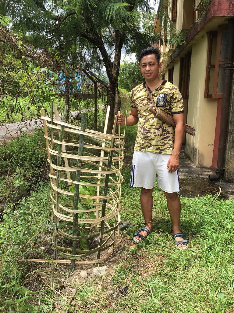 ribajarogyadi's tweet photo. A wonderful work by our PG Student’s prefect Mr. Menler of plantation on independence day. And thank you for nominating all of us @NSaina  #IndependenceDayIndia⁠ #arunachalpradesh #NERIST⁠ https://t.co/IhPLkopMYk