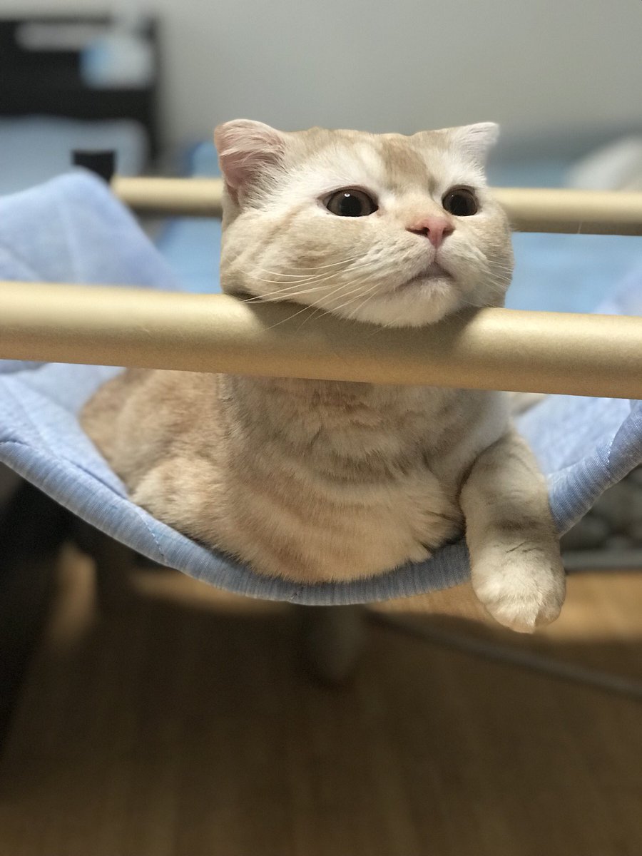 おちょぼ口 おちょぼ口