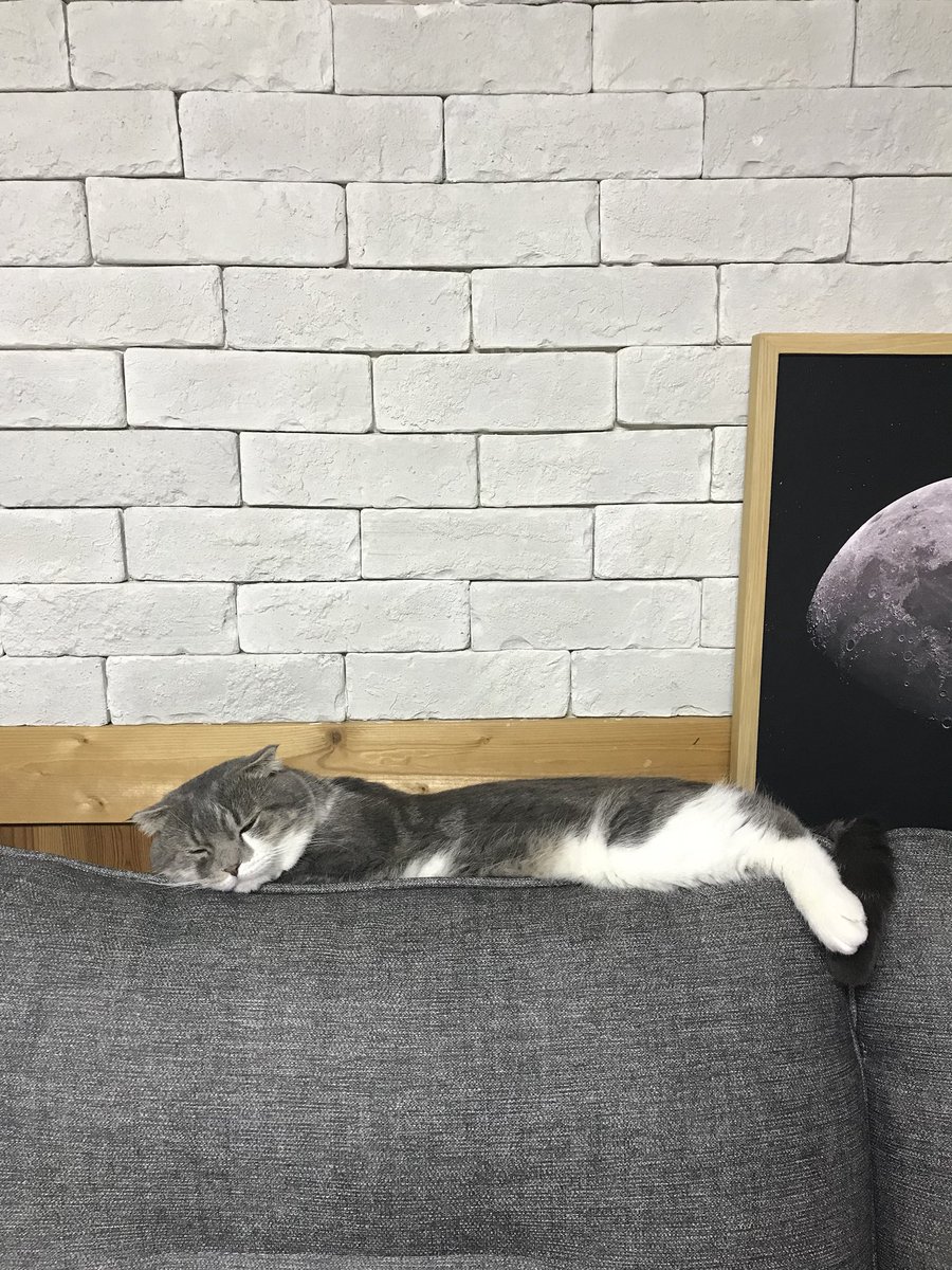 최유진 tweet media