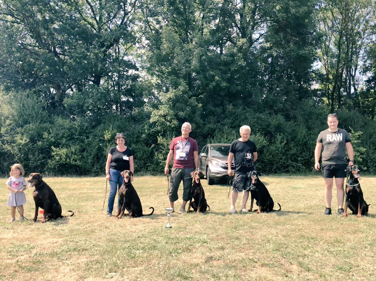 jagerhohle's tweet photo. 1st lot d’élevage #Jagerhöhle #clubdobe #Dobernation #doberman #dobermann #DobermannclubdeFrance 
From ◀️to▶️ M and MEE / Mood’ cool / Madje Eyota / Nora / Mister Ace https://t.co/qIRtkLgJmw