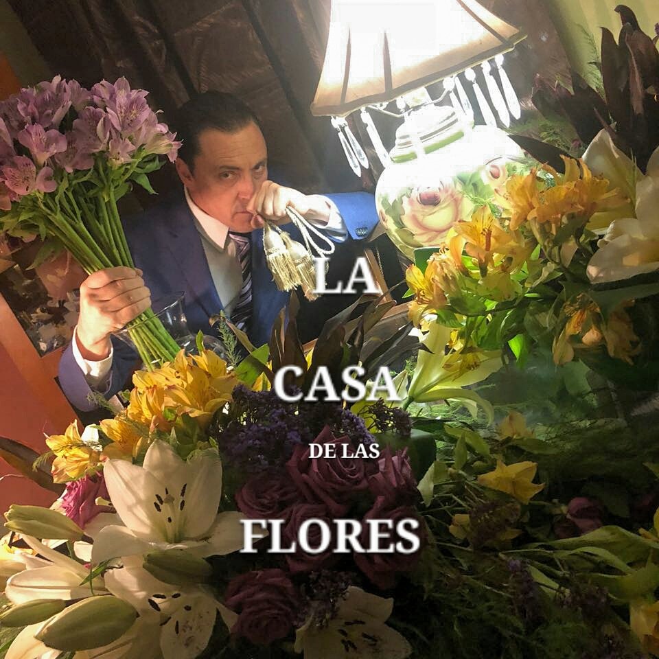 Aleksarepals's tweet photo. @netflix @casadlasflores buena serie https://t.co/fz134O84mf