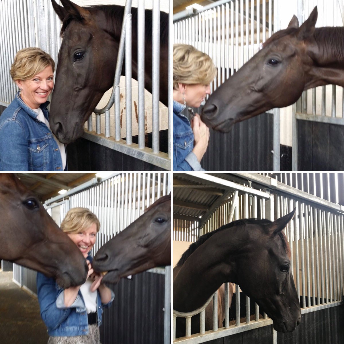 Riella101's tweet image. Fantastic visit to @O_J_murphy91 yard to see Walk Waterford’s progress. Enjoyed extra attention from Mullaghboy too 😊 #dreambigsyndicate #excitedfortheweekend #ollymurphyracing