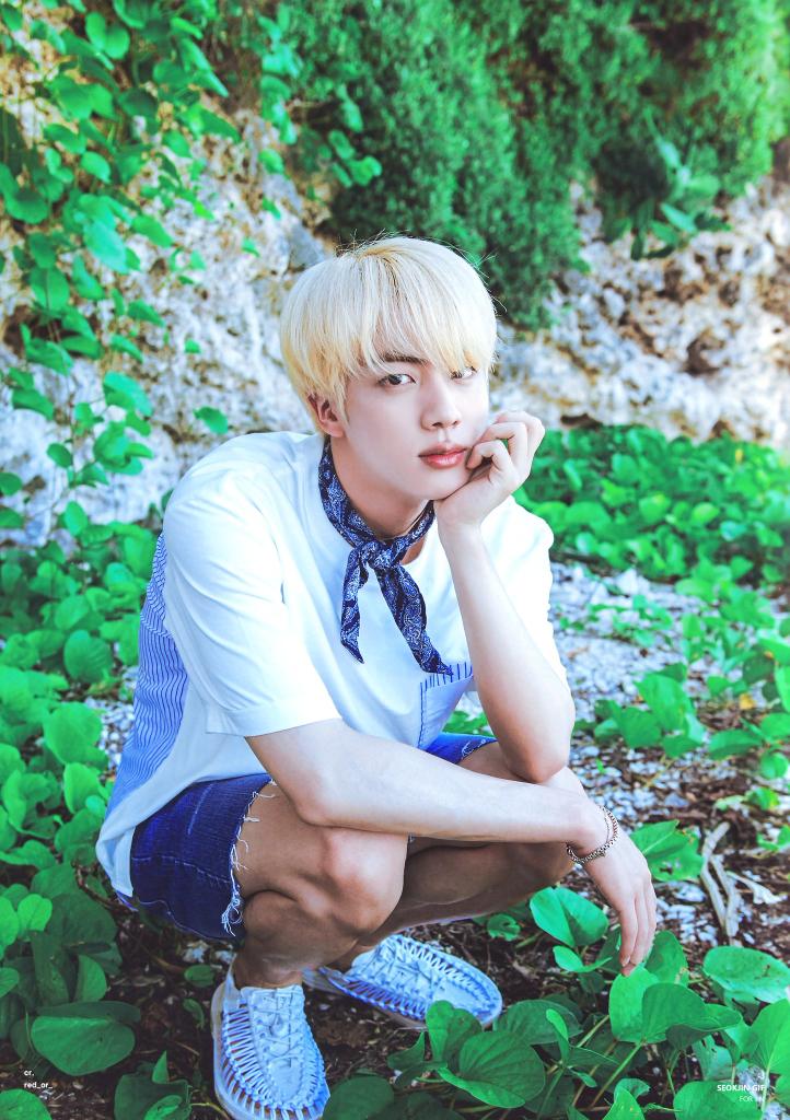 BTS Summer Package 2018 - #JIN #Worldwidehandsome