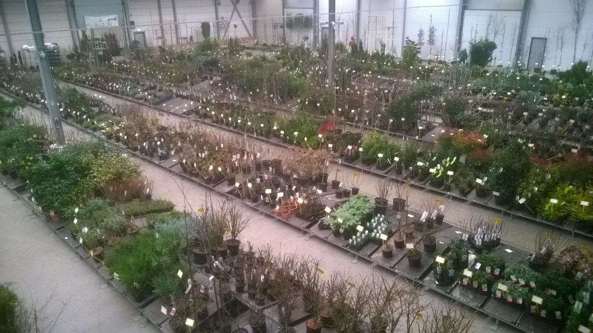 Uitnodiging Lagenbeurs / Orderbeurs / Verkoopbeurs, zondag 19 augustus t/m dinsdag 21 augustus 2018 - mailchi.mp/garden-plant.n…