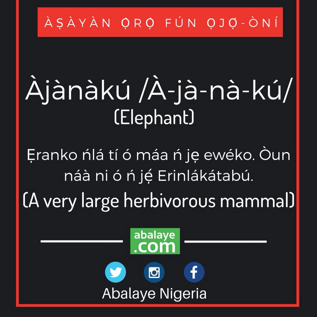 Abalayetv's tweet photo. Word of the day!
••
••
#yoruba #abalaye #abalayenigeria
@abakouks @OkanOshaYoruba @YorubaHeritageC @yoruba_proverbs https://t.co/hnQznh17NM