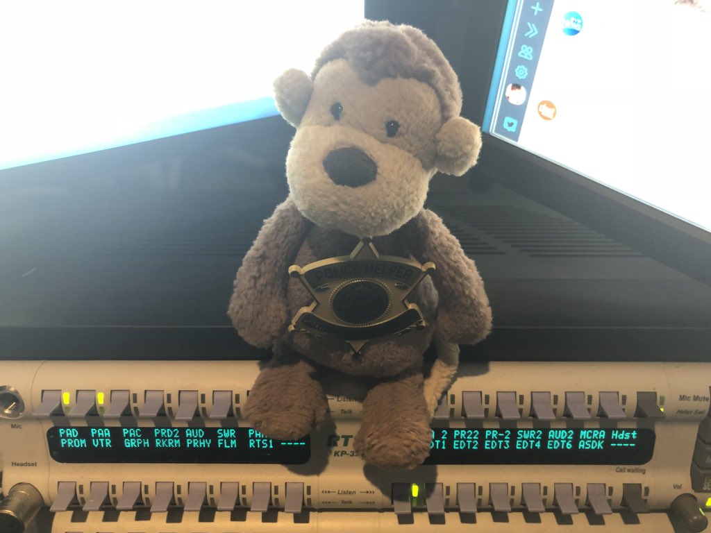tvchick1313's tweet photo. This is George. He was found in Hillhurst by @darrenhailes & Darren has been trying to reunite him with his human. He’s been having fun @CTVMorningYYC hanging in the control room but let’s help get him back to his person. #yyc 🐒 Pls RT #missingmonkey #georgeinyyc @CstShaw https://t.co/lUQ8Xi027Z