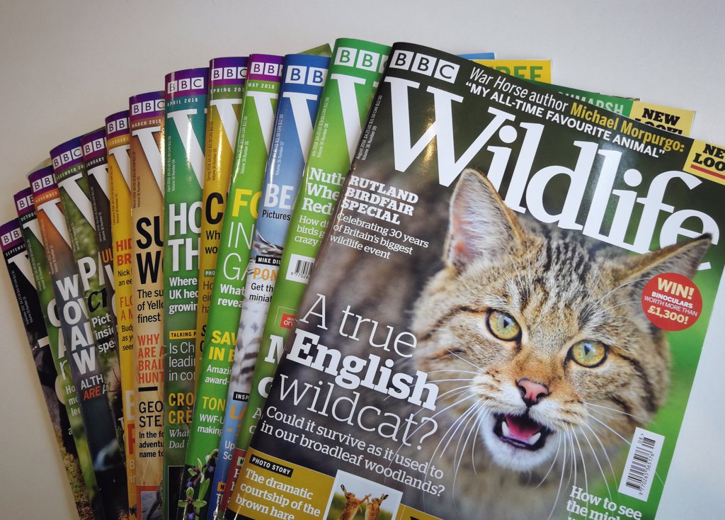The last 13 issues of BBC Wildlife Magazine