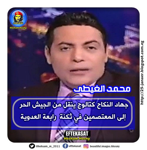 ملف كامل : كيف كذبوا و نشروا الاشاعات عن #رابعة محمد الغيطى  و جهاد النكاح برابعة