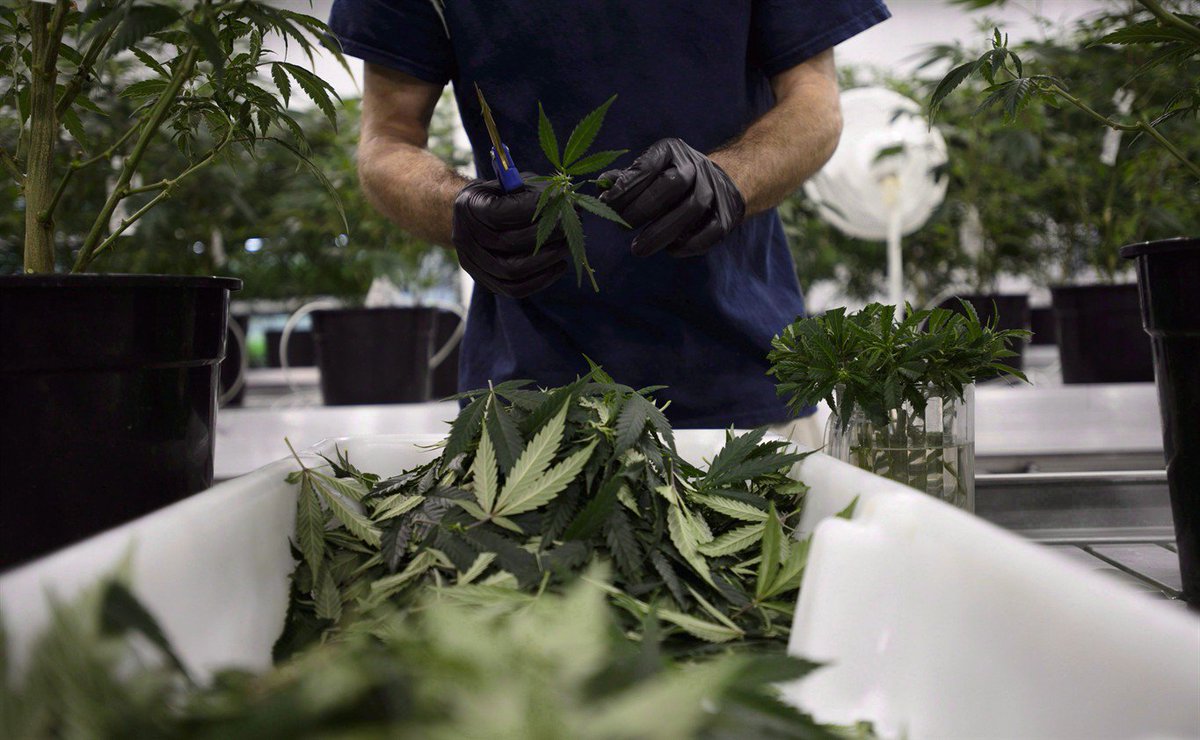 Constellation Brands buys more shares of Canopy Growth. @richard680news has the details ow.ly/7hCN30lpFgB https://t.co/zG86ntnJx6