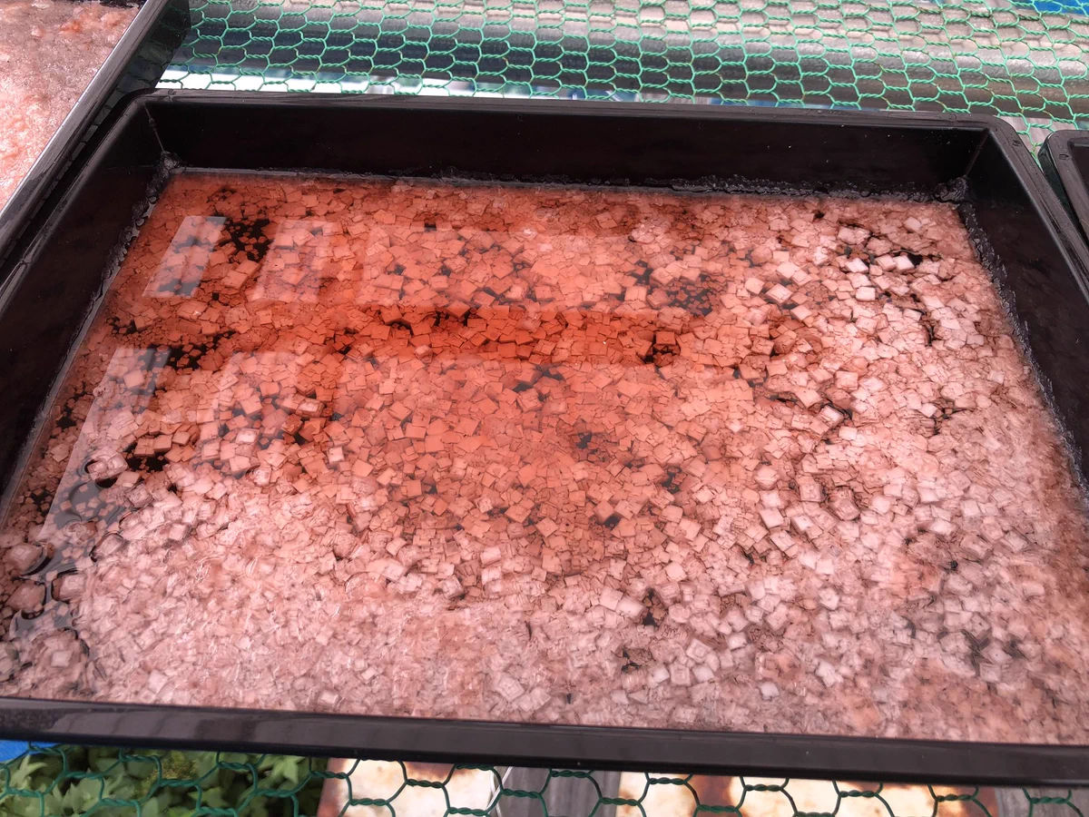 これは一体なんでしょうか！？○○がアート作品みたいになったwww