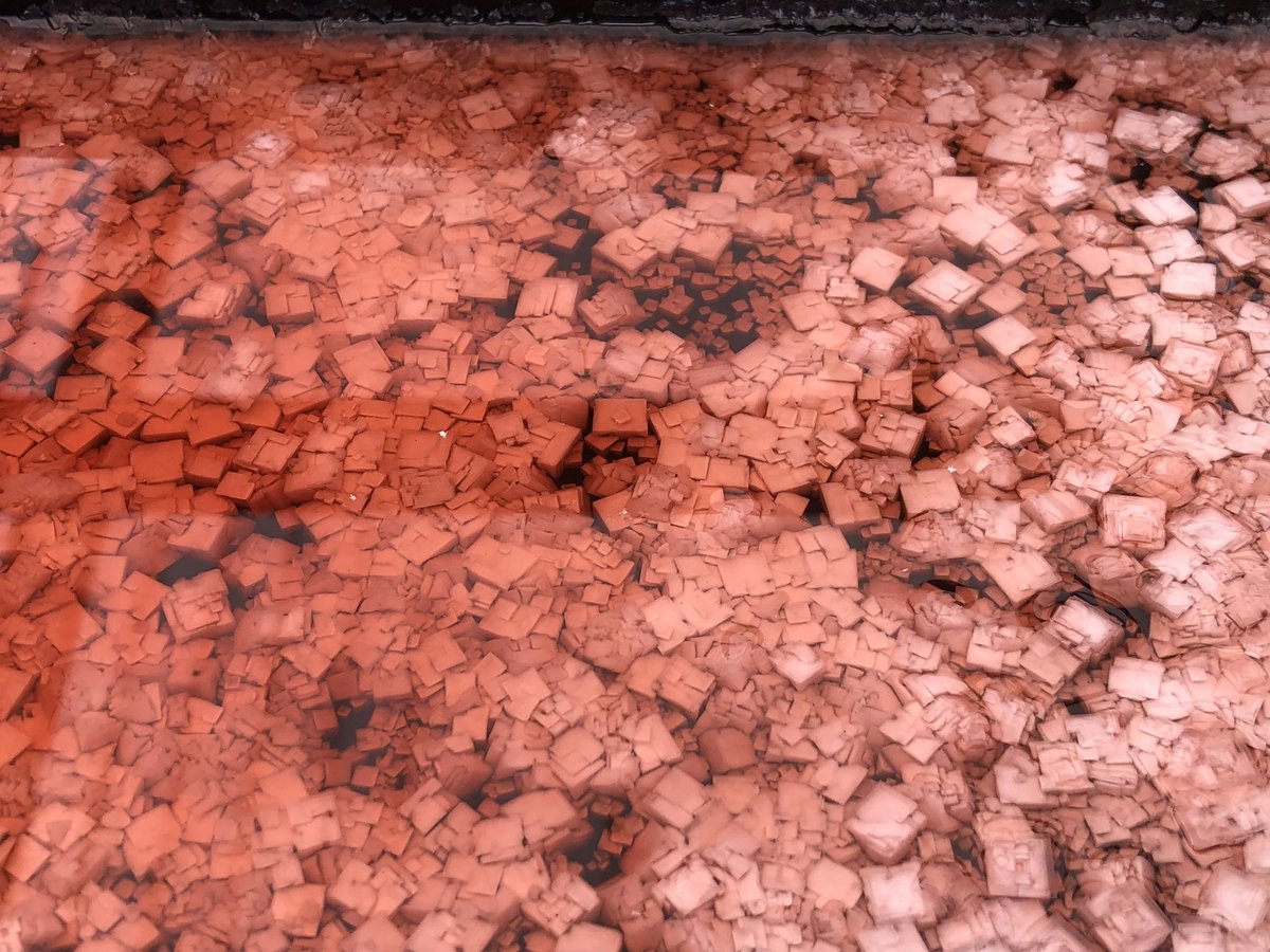 梅酢を外に置いておいたら塩の結晶がわんさか出てきてなんとも見事な結果に すごい これは綺麗 Togetter