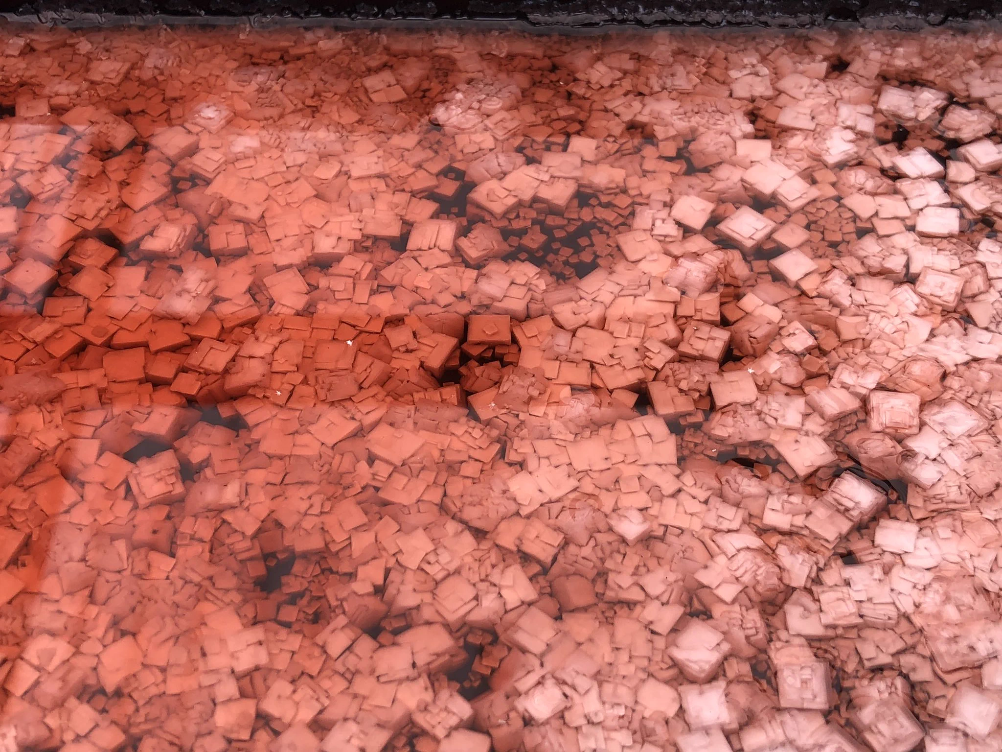 これは一体なんでしょうか！？○○がアート作品みたいになったwww