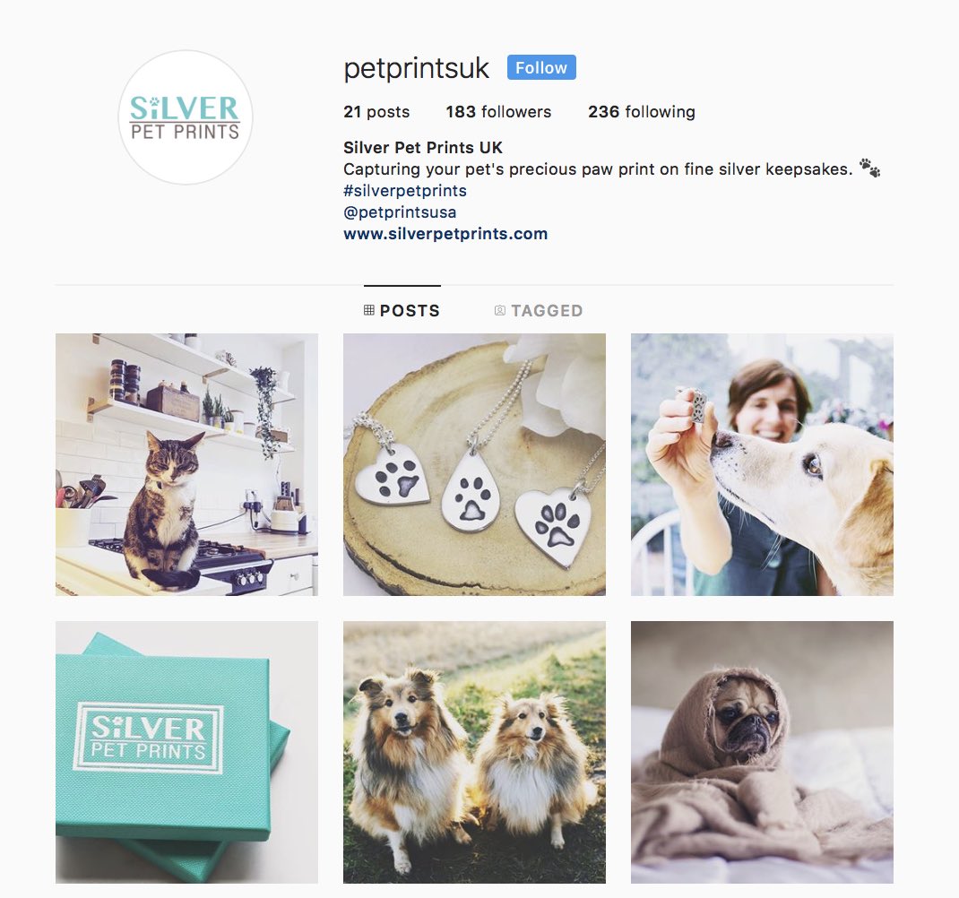 petprintsuk's tweet photo. Did you know that we have an Instagram page? Follow us at @petprintsuk 🐶 https://t.co/C17tnrtB02
