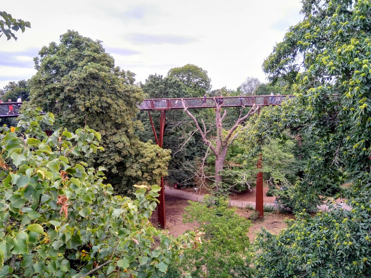 Londra’nın kraliyet botanik bahçesi Kew Gardens içinde yer alan ağaçlar arasındaki yürüyüş yolu, 18 metre yüksekten heyecanlı bir deneyim sunuyor. bit.ly/2nFvttL