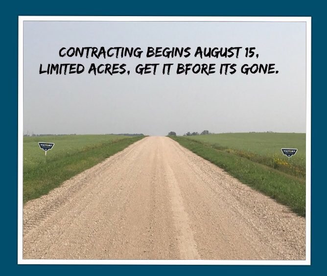 LisaSeedlings's tweet photo. It begins today. Production contracts for 2019 @cargill #VictoryHybridCanola w/ industry leading #PolygenicBlacklegResistance in all Victory varieties,New:CL #V33_1 & #clubroot tolerance in #V12_3 & #V14_1 Partnered with @BASFCanada #InvigorHealth including #L258HPC & #L257H https://t.co/msjLwsdqQh