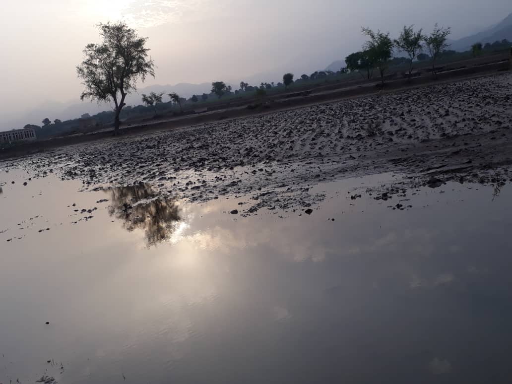 الصباح وقت طلوع الشمس