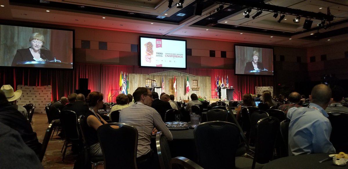 CAA Past President <a href="/tammiribey/">Tammi Ribey</a> opening up Day 2 at #CDNBeefConf Thanks to <a href="/cdnangus/">Canadian Angus</a> Foundation for the opportunity to attend #CDNAngus